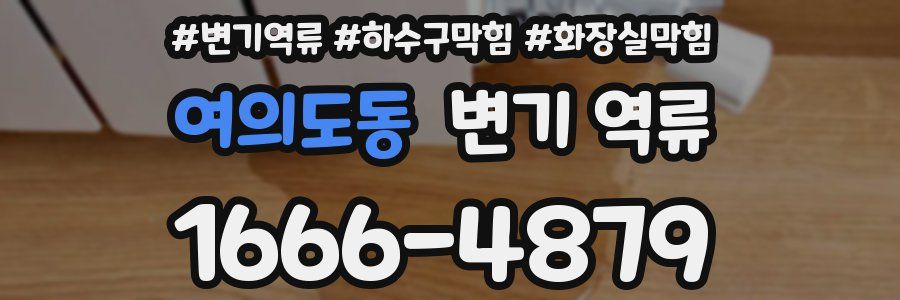 여의도동 변기 역류