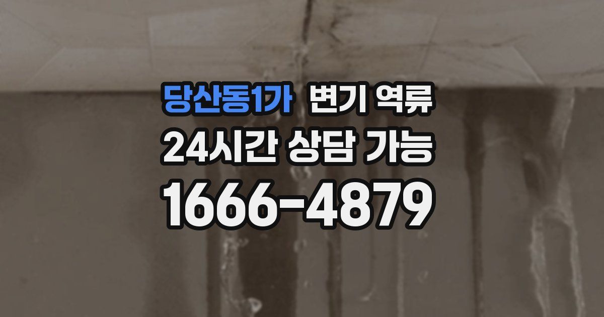 당산동1가 변기 역류