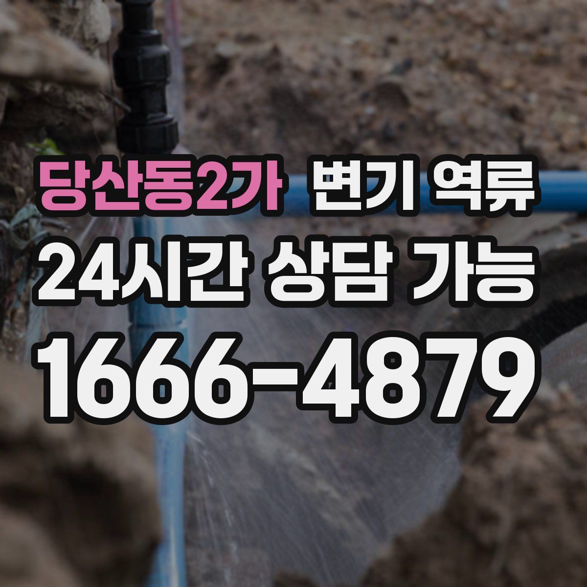 당산동2가 변기 역류