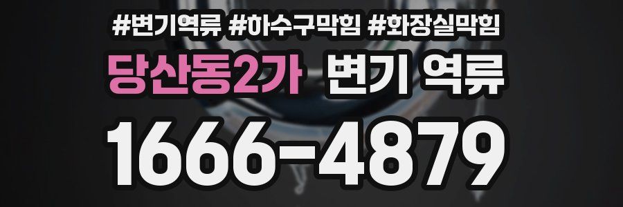 당산동2가 변기 역류