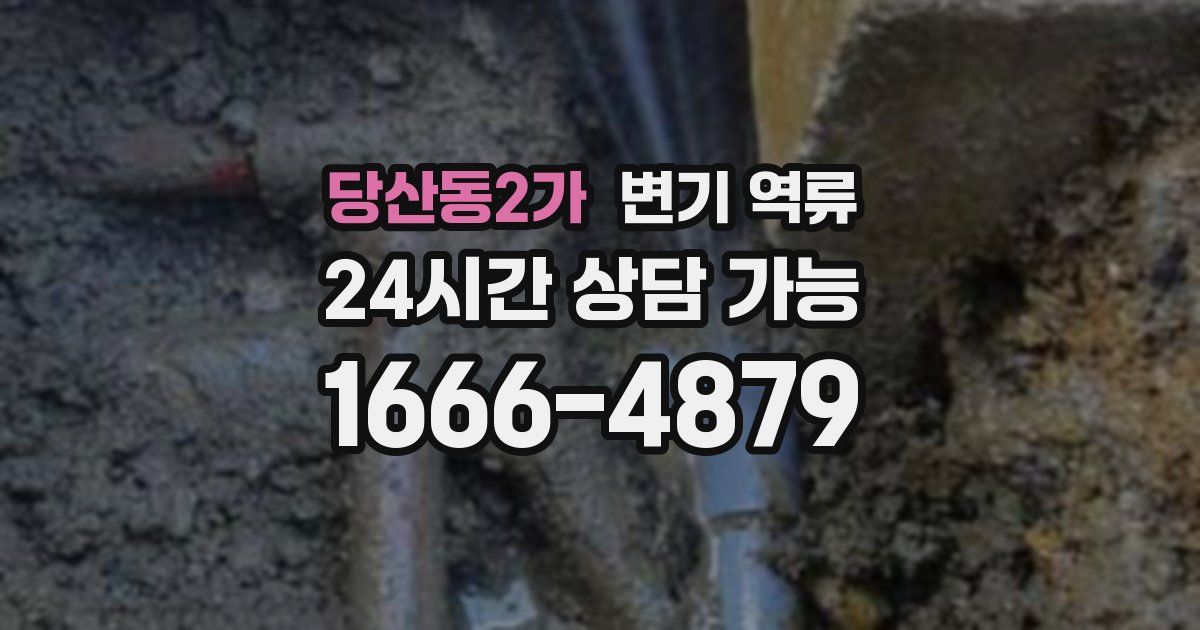 당산동2가 변기 역류
