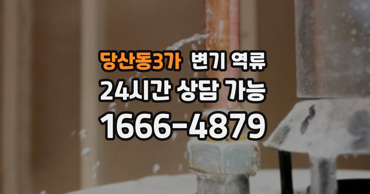 당산동3가 변기 역류