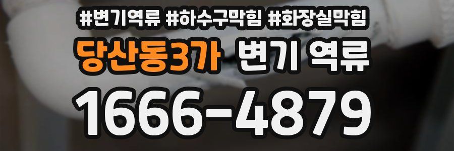 당산동3가 변기 역류
