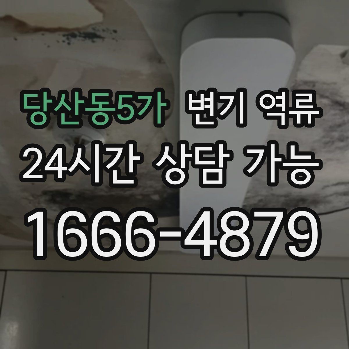 당산동5가 변기 역류 여러 배수구가 함께 느려지면 공용 문제일까