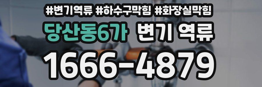 당산동6가 변기 역류