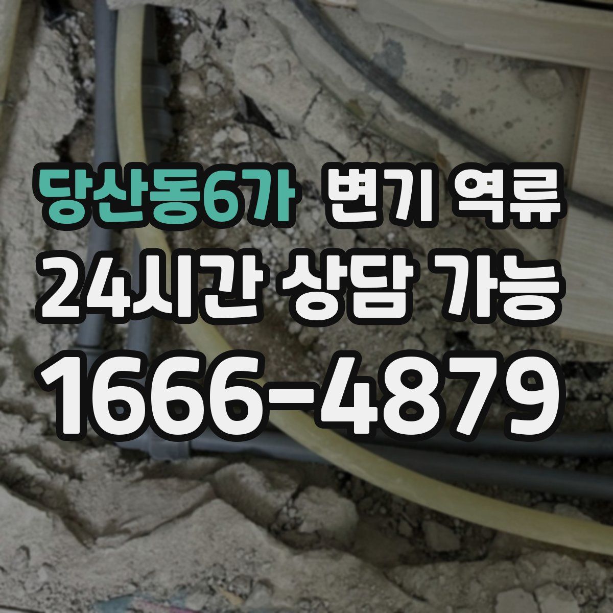 당산동6가 변기 역류