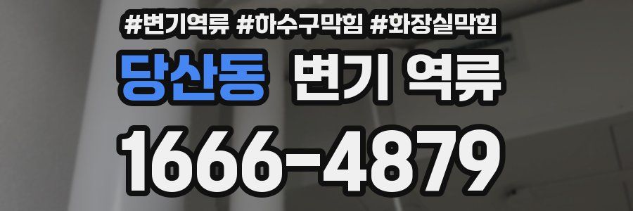 당산동 변기 역류