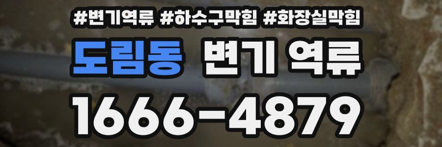 도림동 변기 역류