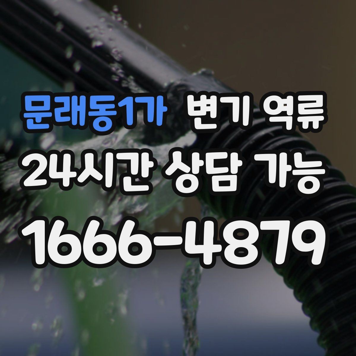 문래동1가 변기 역류 오염수 역류가 의심되면 즉시 해야 할 것