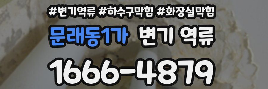 문래동1가 변기 역류