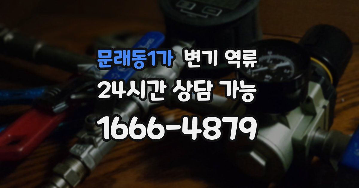 문래동1가 변기 역류
