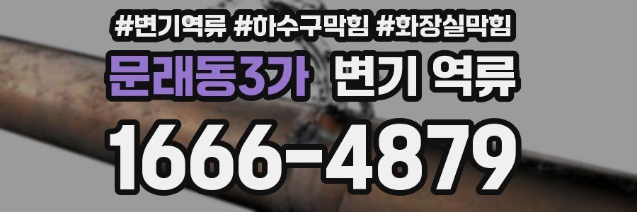 문래동3가 변기 역류
