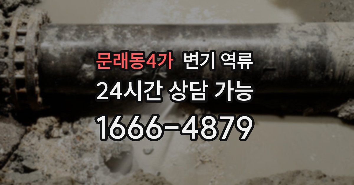 문래동4가 변기 역류