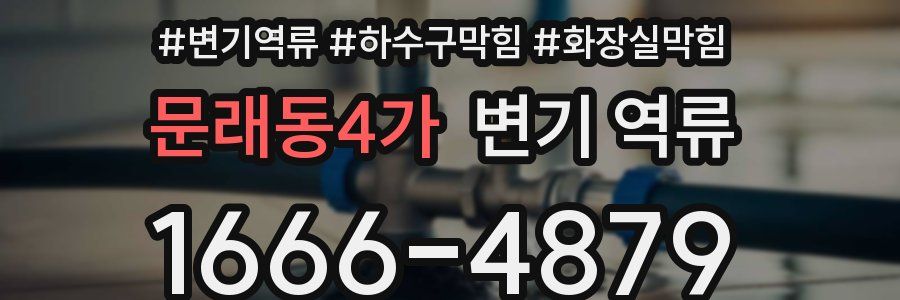 문래동4가 변기 역류