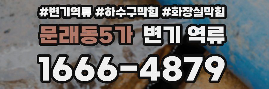 문래동5가 변기 역류