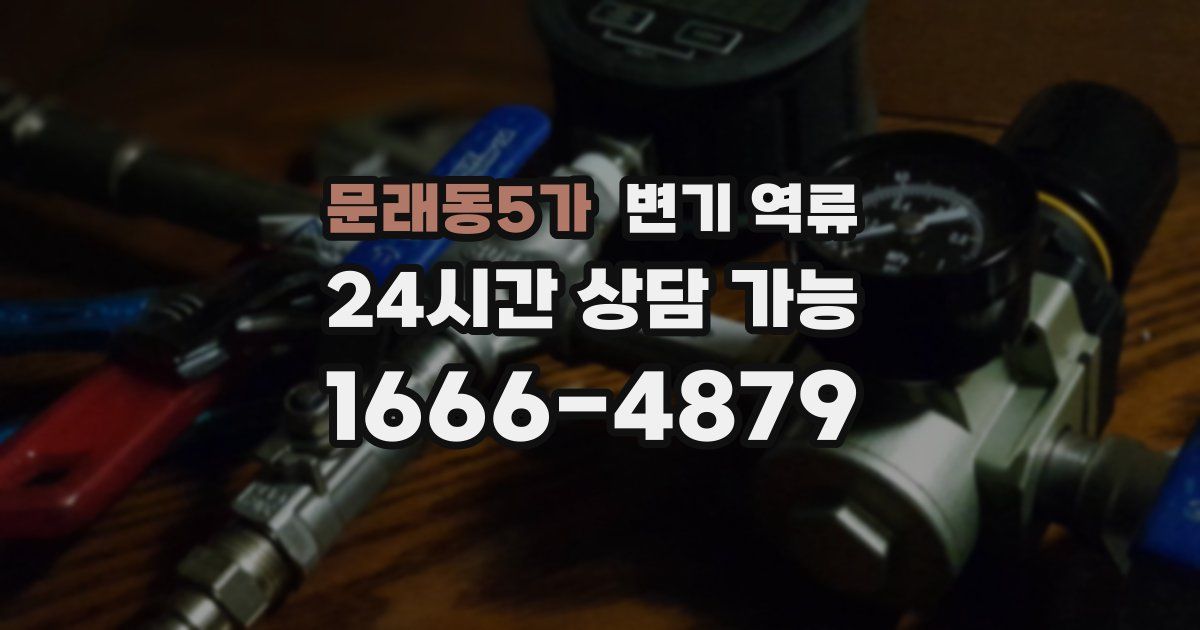 문래동5가 변기 역류