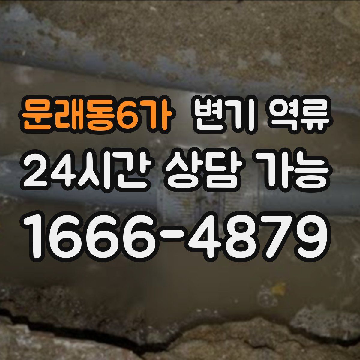문래동6가 변기 역류