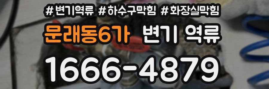 문래동6가 변기 역류