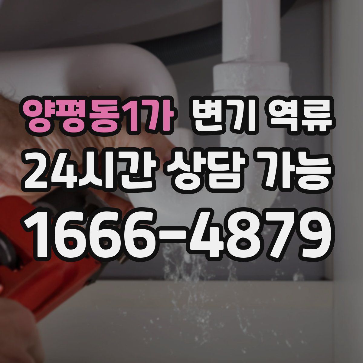 양평동1가 변기 역류