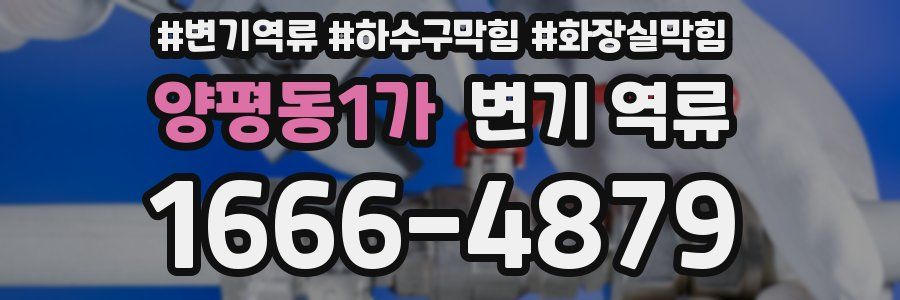양평동1가 변기 역류