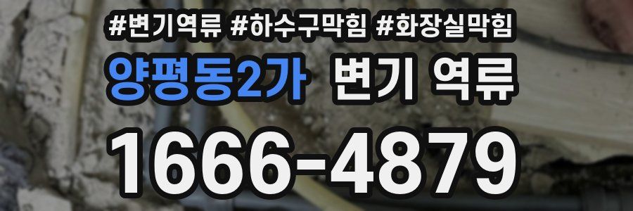 양평동2가 변기 역류