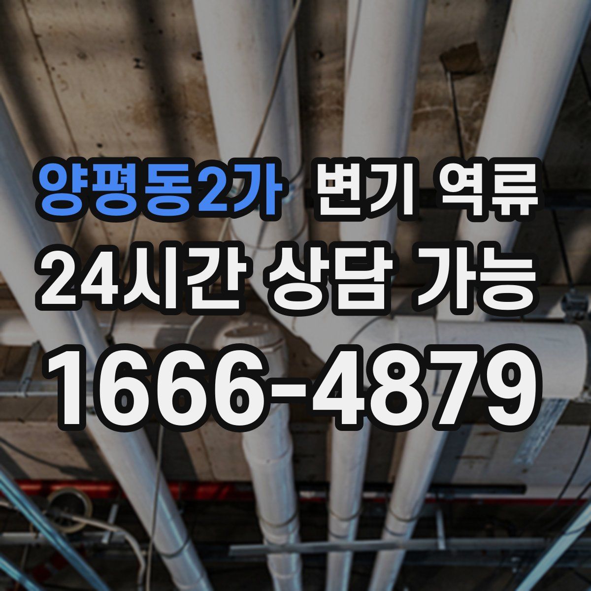 양평동2가 변기 역류