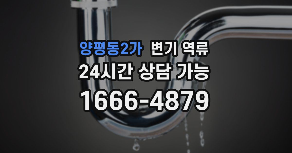 양평동2가 변기 역류
