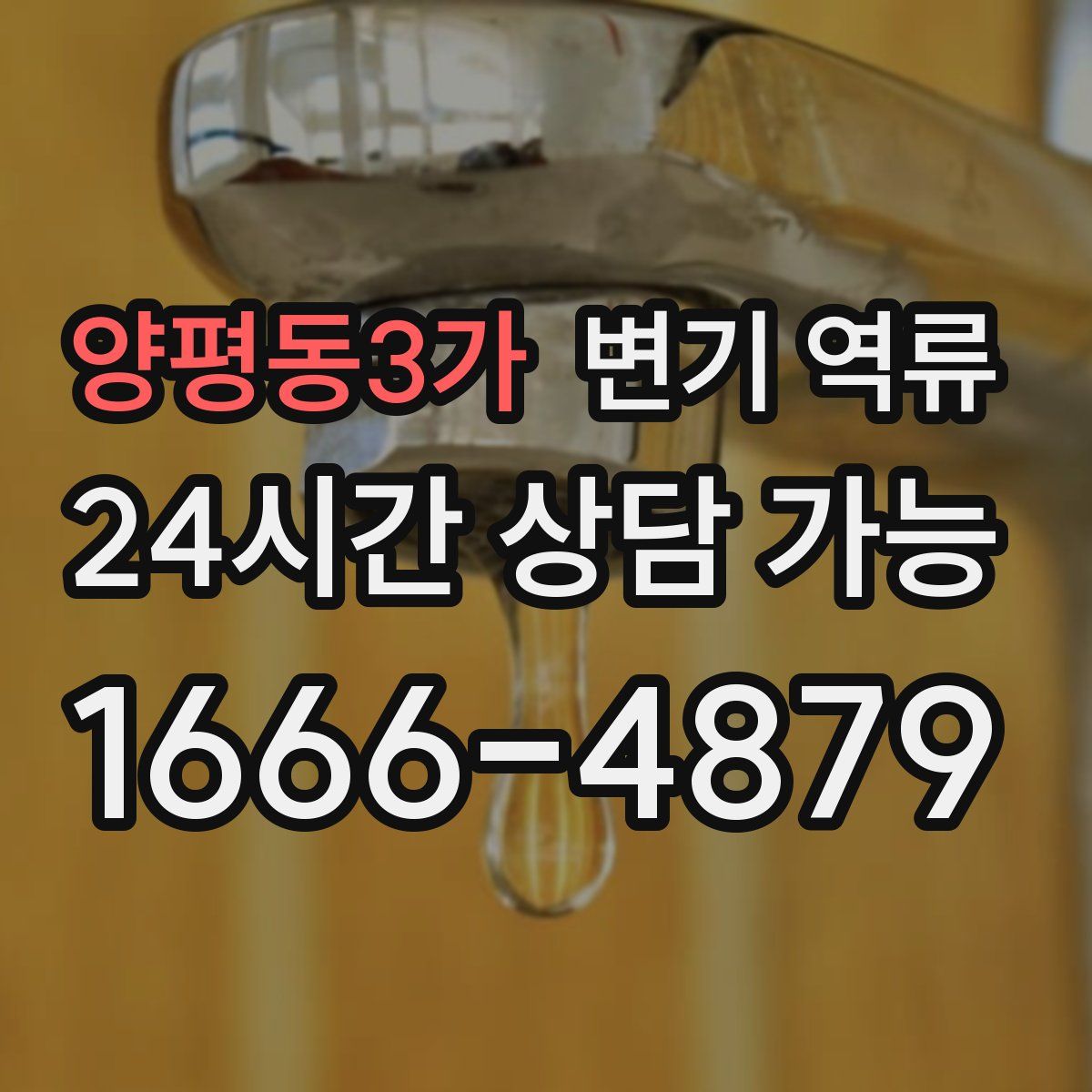 양평동3가 변기 역류