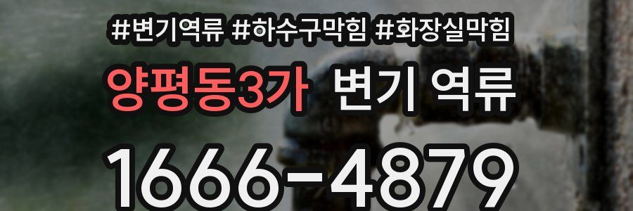 양평동3가 변기 역류