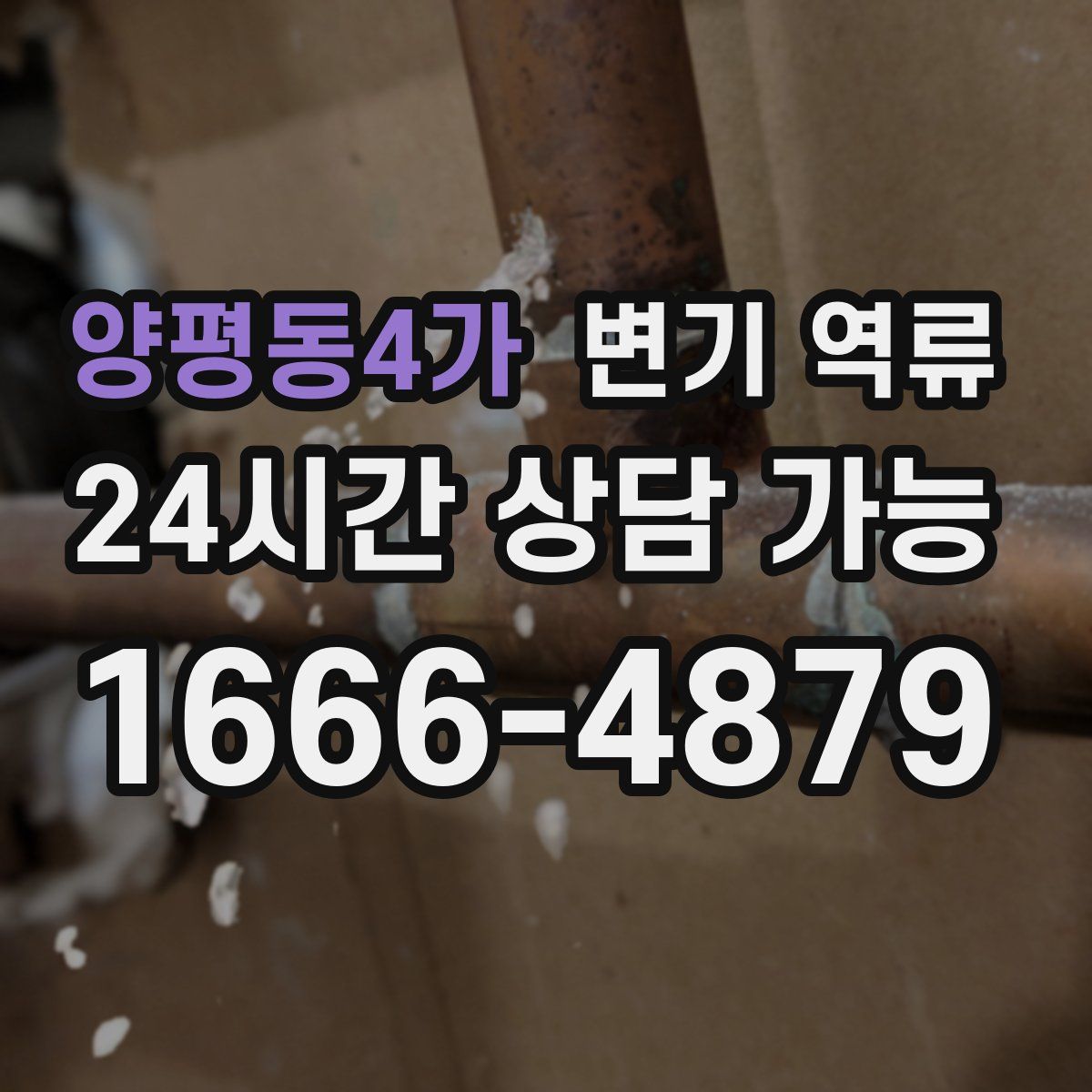 양평동4가 변기 역류