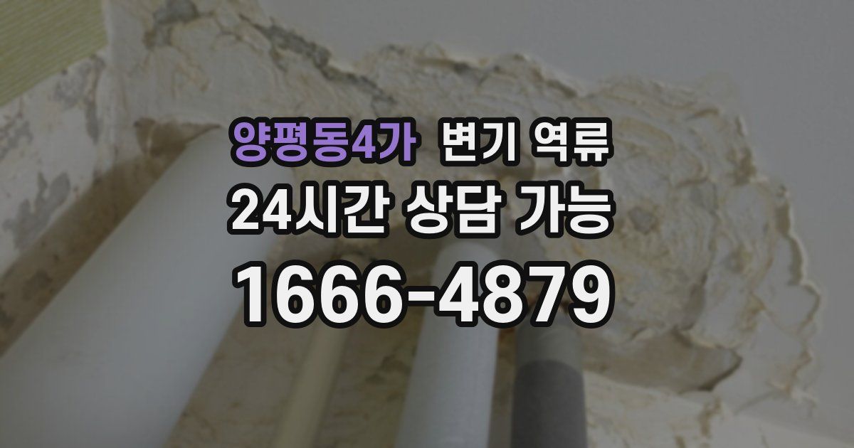 양평동4가 변기 역류