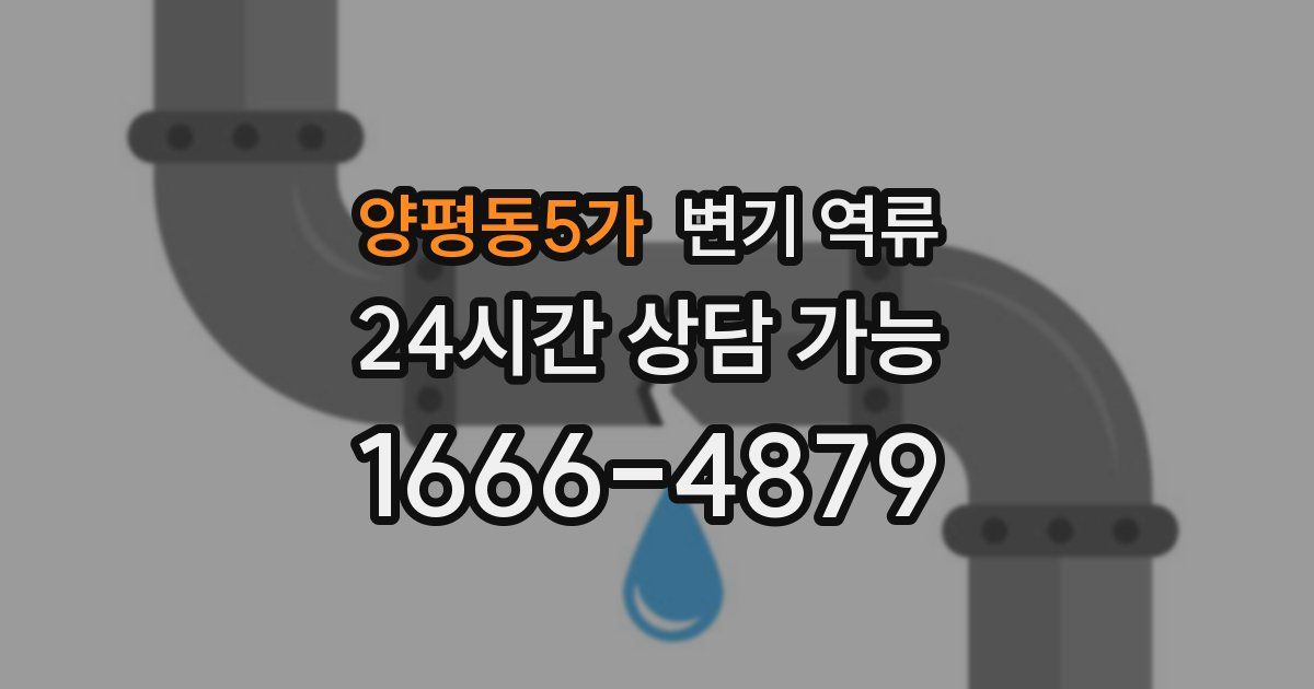 양평동5가 변기 역류