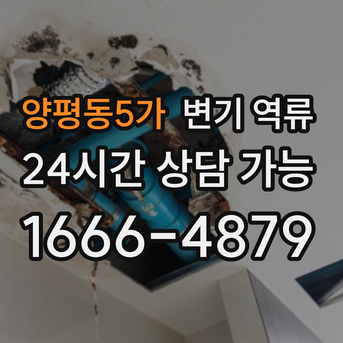 양평동5가 변기 역류