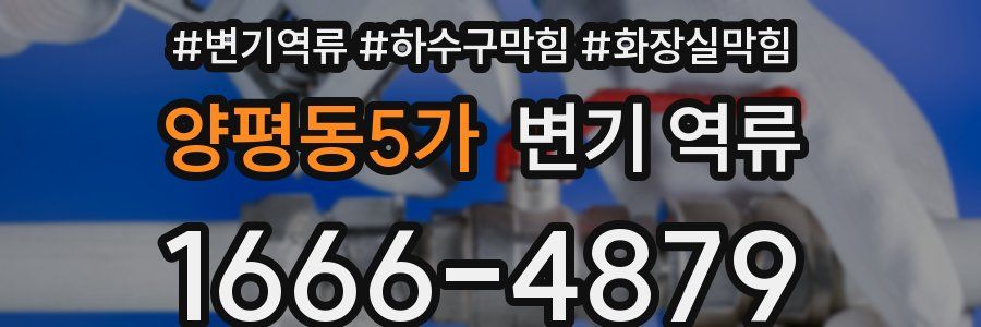 양평동5가 변기 역류