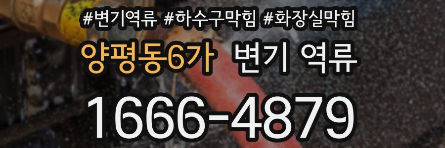 양평동6가 변기 역류
