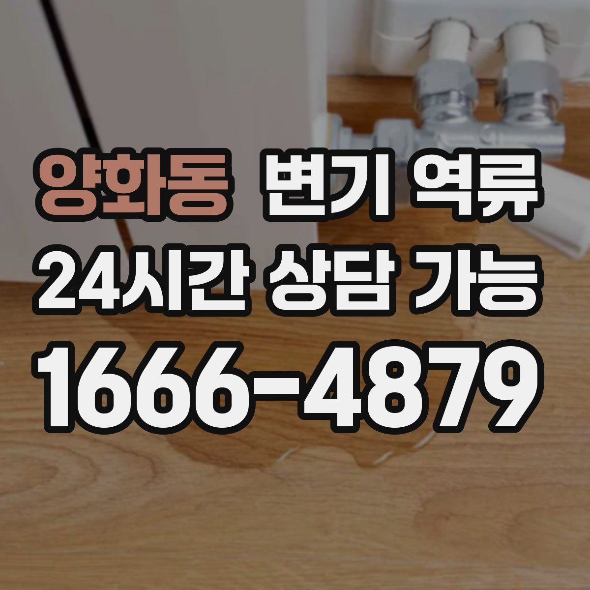 양화동 변기 역류