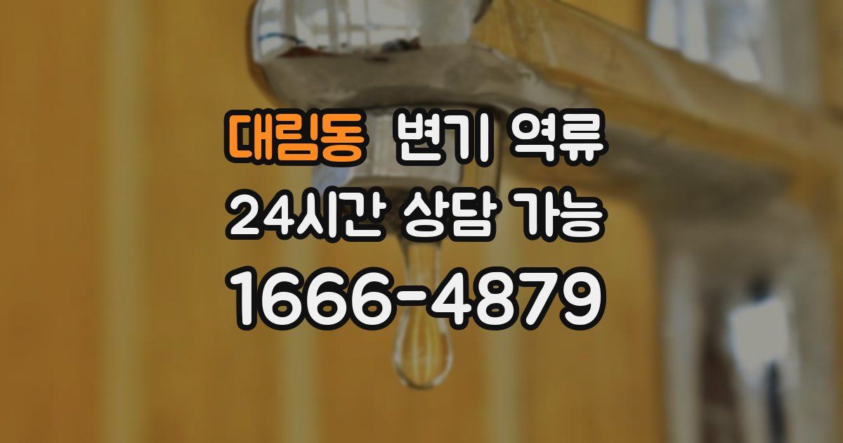 대림동 변기 역류