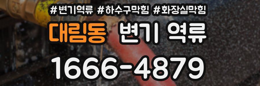 대림동 변기 역류