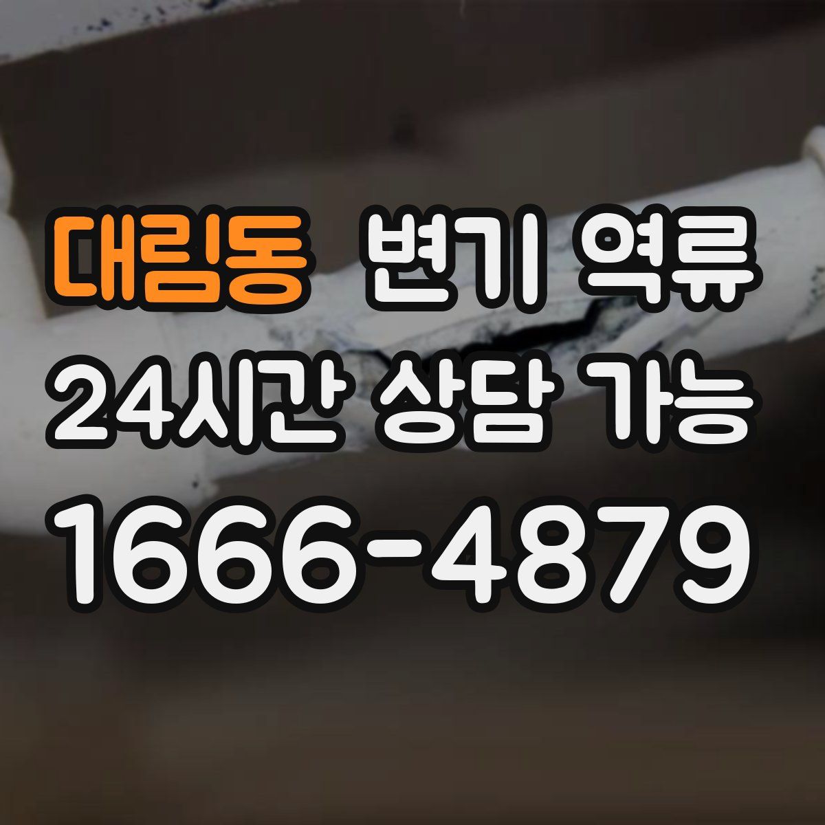 대림동 변기 역류