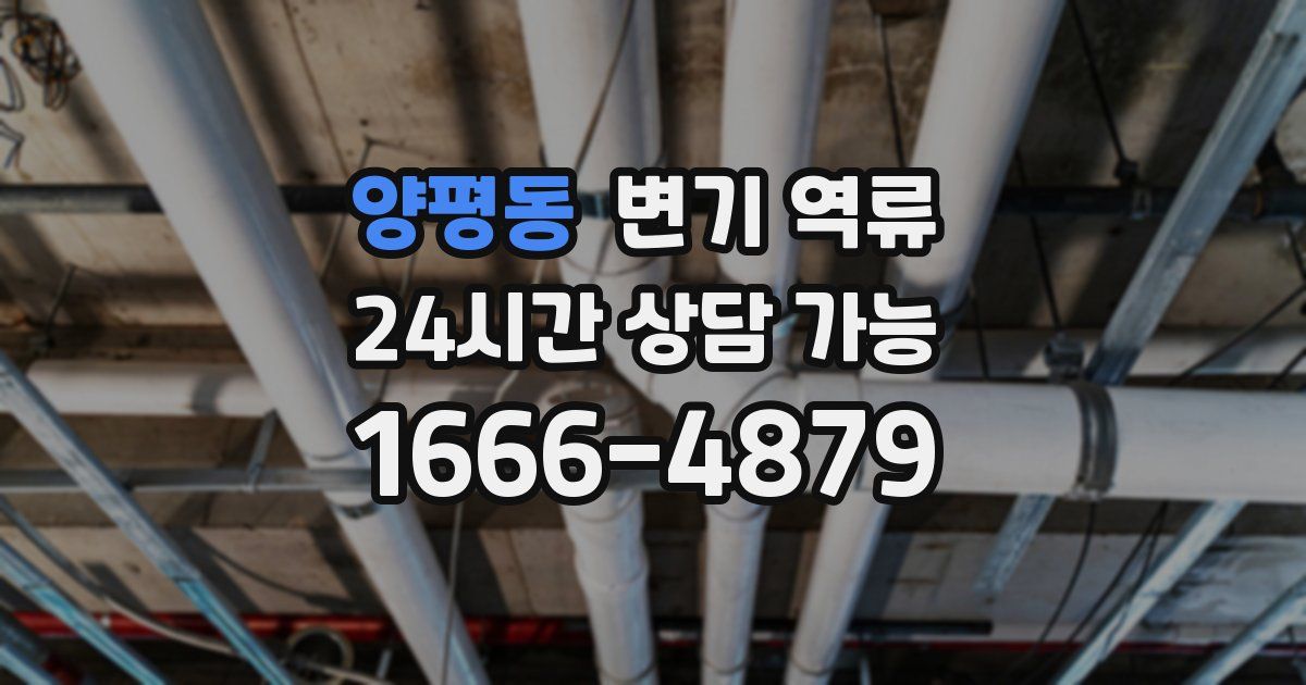 양평동 변기 역류