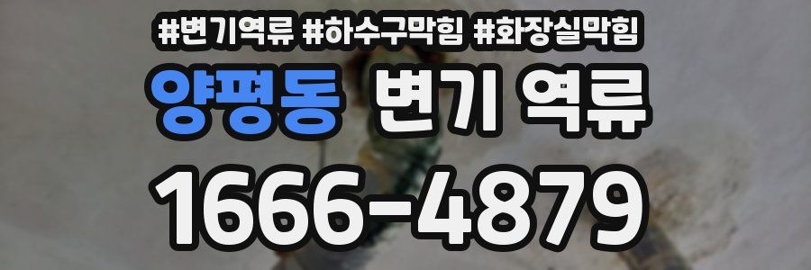 양평동 변기 역류