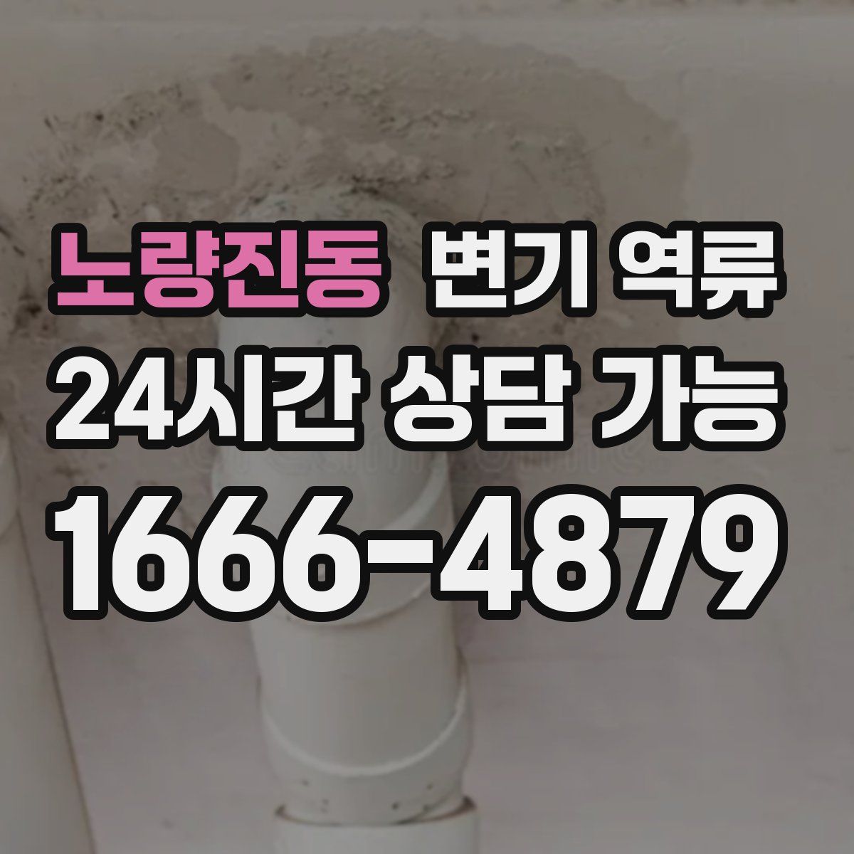 노량진동 변기 역류