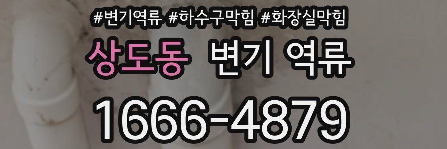 상도동 변기 역류