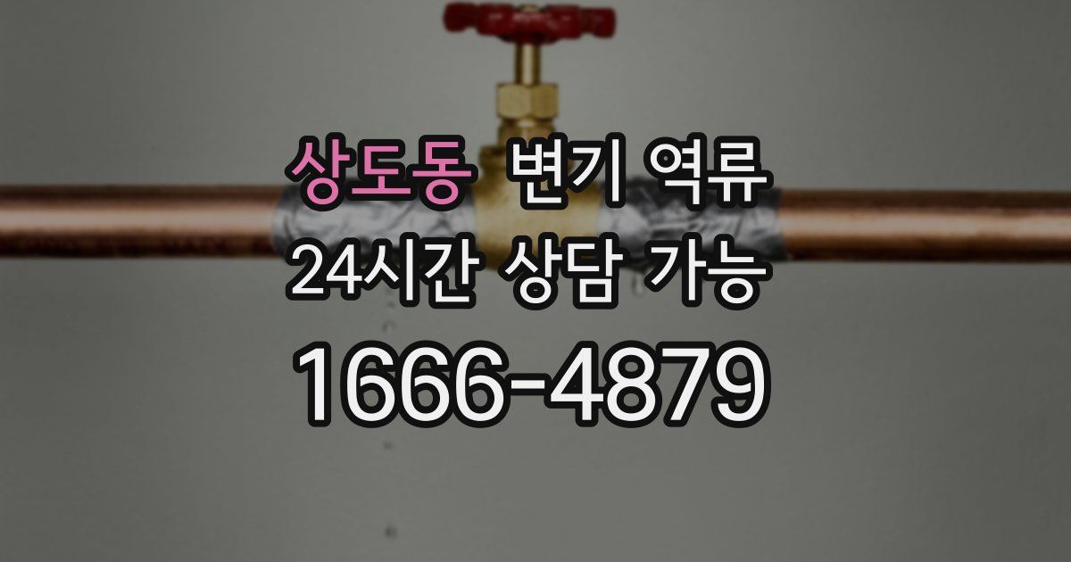 상도동 변기 역류