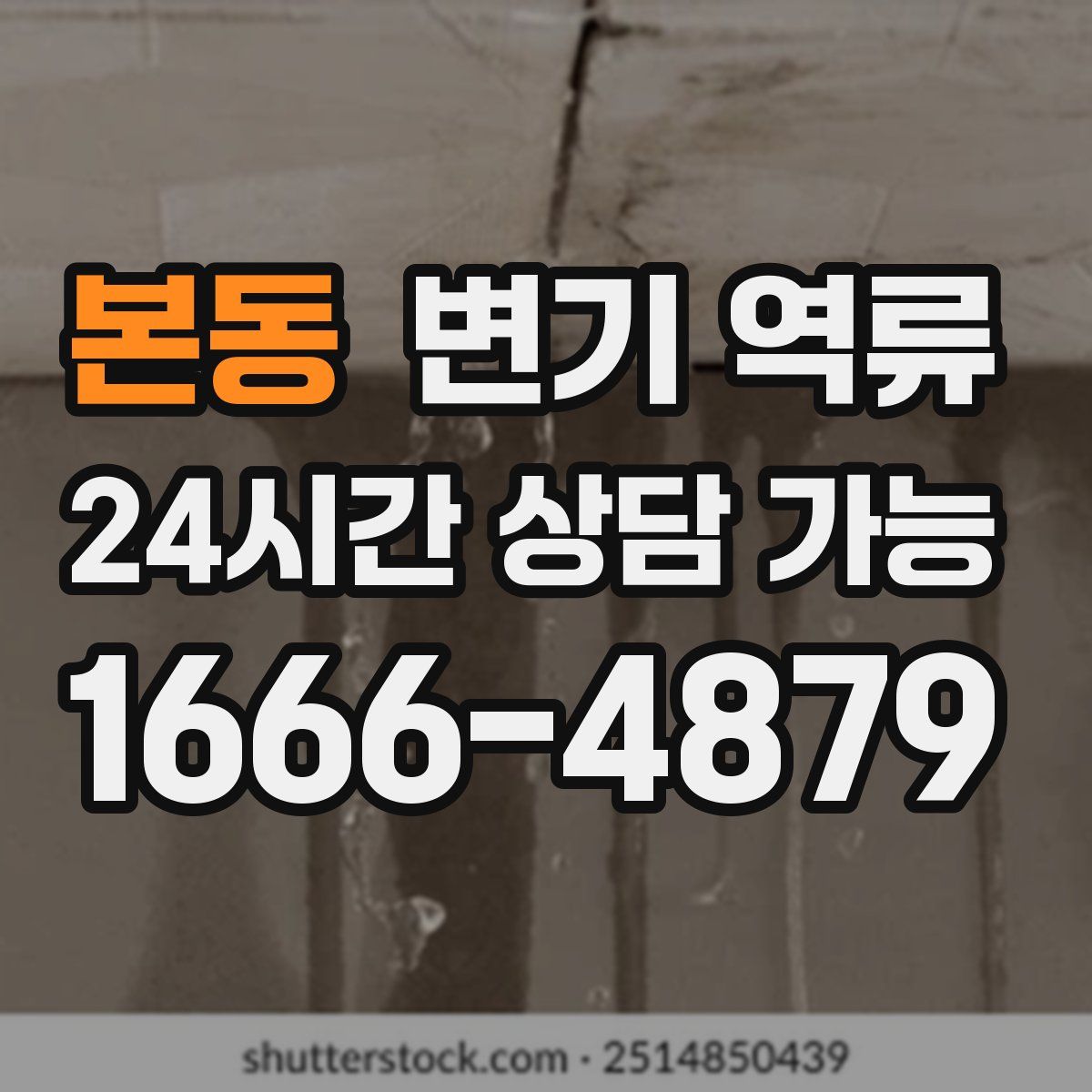 본동 변기 역류