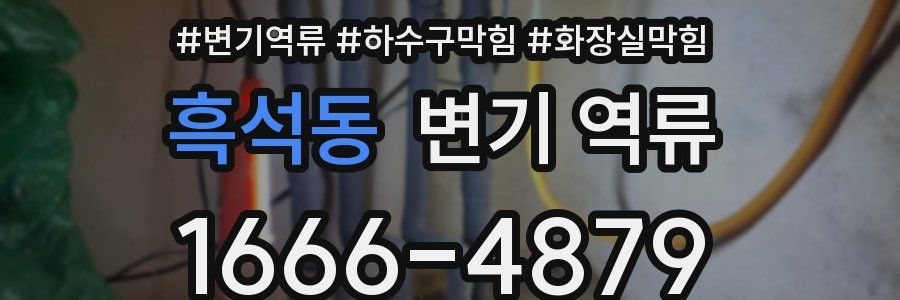 흑석동 변기 역류