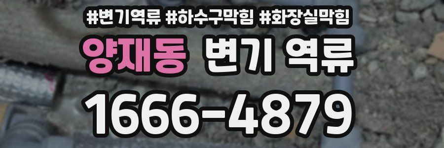 양재동 변기 역류