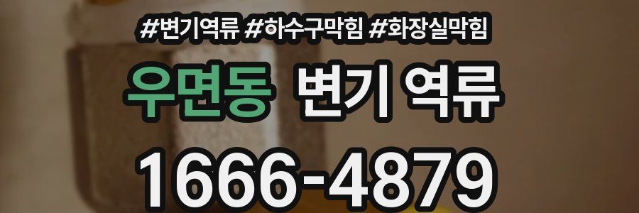 우면동 변기 역류