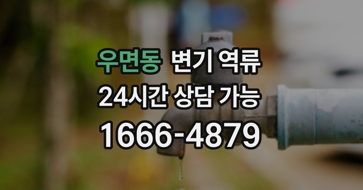 우면동 변기 역류