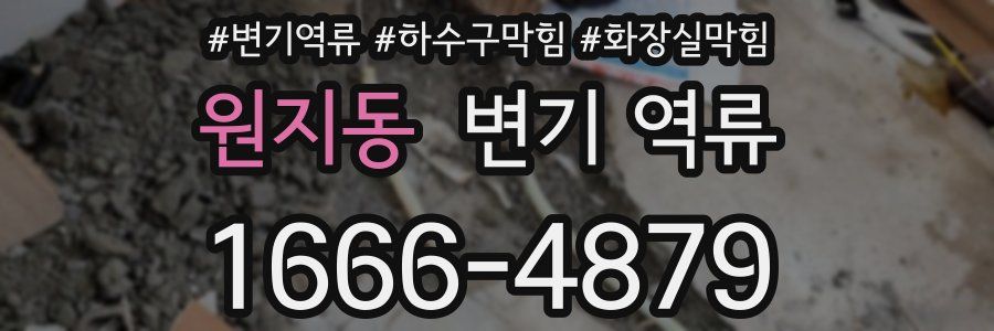 원지동 변기 역류